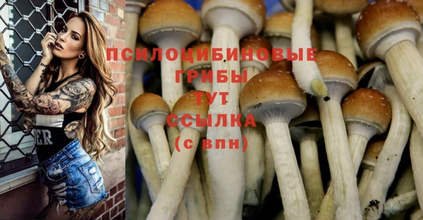спиды Медвежьегорск